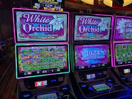 Platform playwin123 memudahkan akses hiburan dengan keamanan optimal